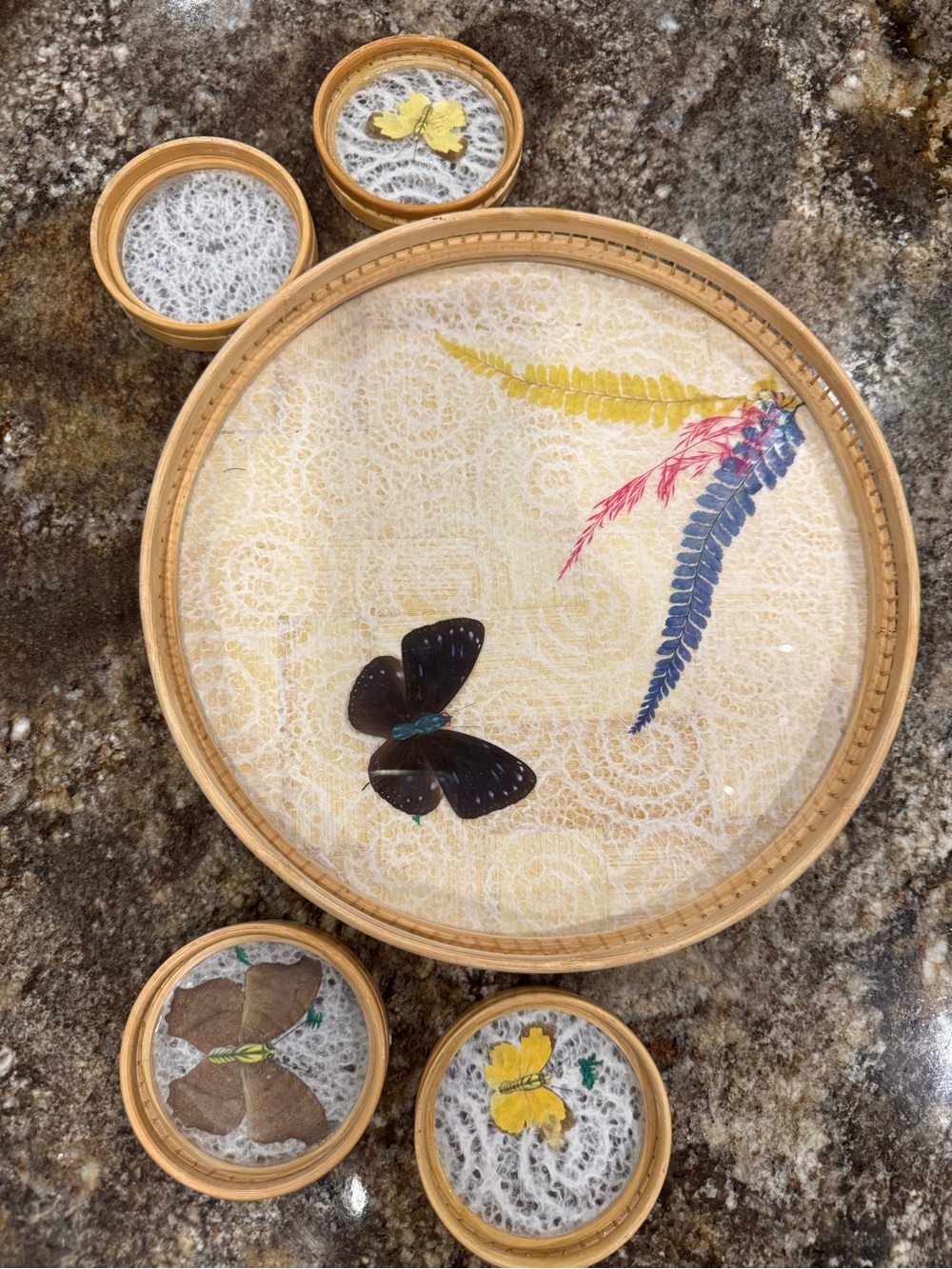 Vintage Taiwan Butterfly Tray & 4 Coasters Bamboo Rattan Real Wings Set